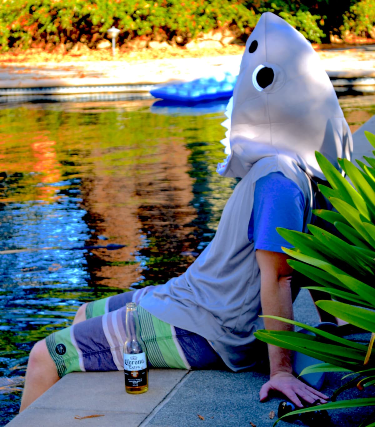 Poolshark